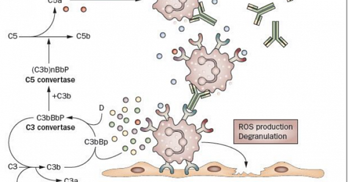 Immunology In Medicine.